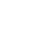 DENSO